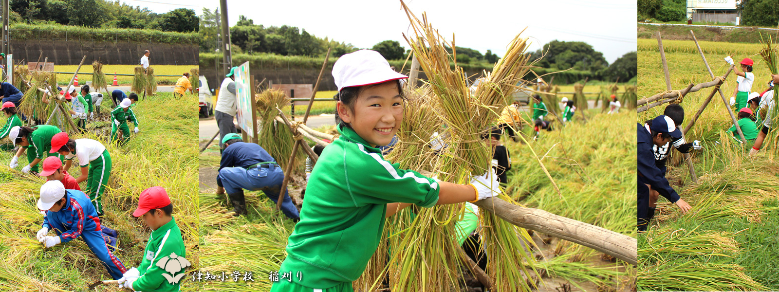 田舎 田舎暮らし宅地の販売 - 株式会社 建築カフェ（千葉県木更津市）